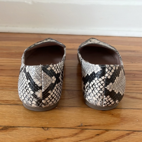STEVE MADDEN | Snake skin flats 🐍 - Picture 4 of 7